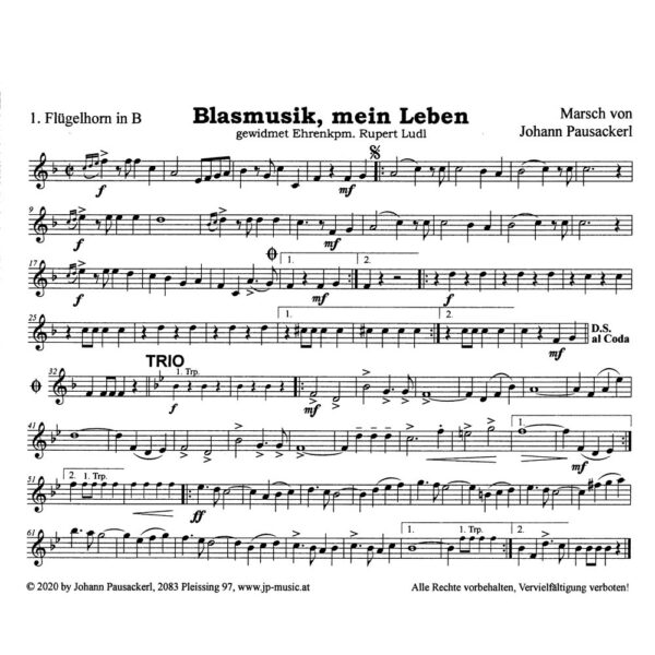Blasmusik-mein-Leben-Noten-Flglhrn